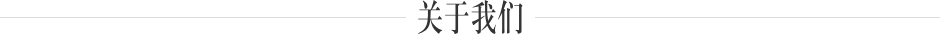 关于梅赛德斯-奔驰租赁有限公司
